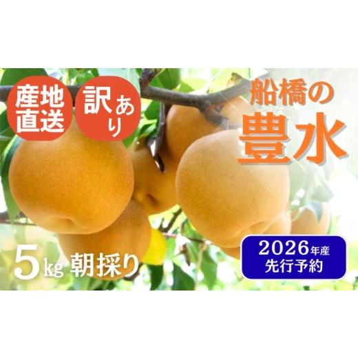 ふるさと納税 梨 千葉県 船橋市 2026年産 訳あり 先行予約 梨 なし 船橋のなし 「豊水」い志い農園 千葉県 2026年発送 お届け日指定不可 い志い農園 予約 数…
