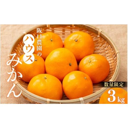 ふるさと納税 果物類 みかん 三重県 紀宝町 2S〜2Lサイズ混合 3kg 阪口農園の ハウスみかん(マルチ栽培) 2026年7月中旬から7月末に順次発送予定 / みかん …