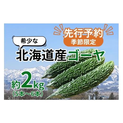 ふるさと納税 野菜類 北海道 奈井江町 先行予約/季節限定 希少な北海道産ゴーヤ 奈井江町の寒暖差が育んだまろやかな苦み 約2kg(5〜6本)