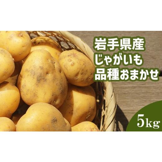 ふるさと納税 野菜類 じゃがいも 岩手県 八幡平市 2026年8月中旬発送開始予定 岩手県産 じゃがいも 品種おまかせ ( きたあかり または はるか ) 5kg 松浦農…