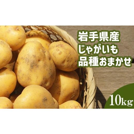 ふるさと納税 野菜類 じゃがいも 岩手県 八幡平市 2026年8月中旬発送開始予定 岩手県産 じゃがいも 品種おまかせ ( きたあかり または はるか ) 10kg 松浦…