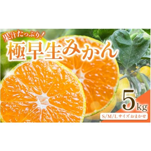 ふるさと納税 果物類 みかん 和歌山県 田辺市 先行予約 紀州田辺産 果汁たっぷりの極早生みかん5kg(S/M/Lサイズおまかせ) 9月中旬に順次発送予定 期間限定…