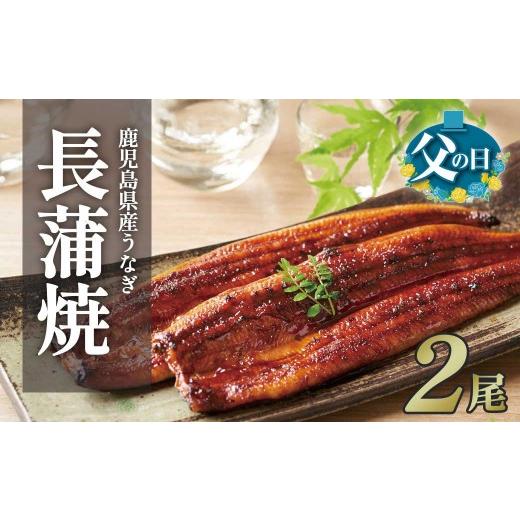 ふるさと納税 うなぎ 鹿児島県 大崎町 父の日 ふるさと納税限定 鹿児島県大崎町産 国産 うなぎ長蒲焼 2尾 計320g以上 | 鰻 うなぎ蒲焼き うな重 ひつまぶし …