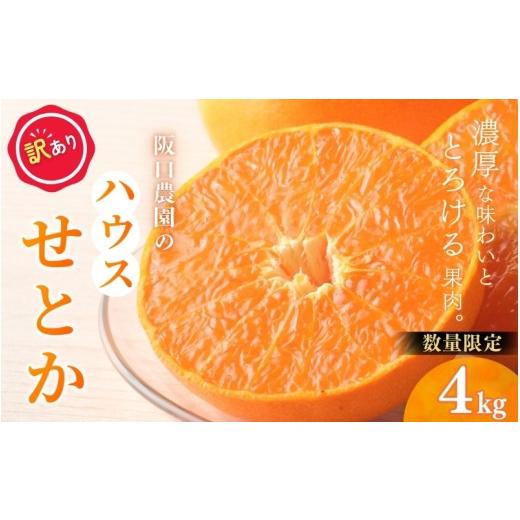 ふるさと納税 みかん・柑橘類 三重県 紀宝町 先行予約 訳あり サイズ混合 4kg 阪口農園の ハウスせとか(マルチ栽培) 2027年2月中旬から3月中旬に順次発送予…