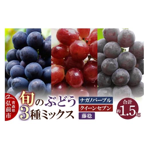 ふるさと納税 果物類 ぶどう 青森県 弘前市 26年8月下旬〜発送 ぶどう 旬のぶどう3種ミックス 約1.5kg(ナガノパープル、クイーンセブン、藤稔)まもる農園 …