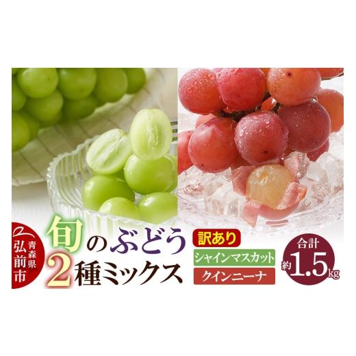 ふるさと納税 果物類 ぶどう 青森県 弘前市 26年10月〜発送 ぶどう 訳あり 旬のぶどう2種ミックス 約1.5kg(シャインマスカット、クインニーナ)まもる農園 …