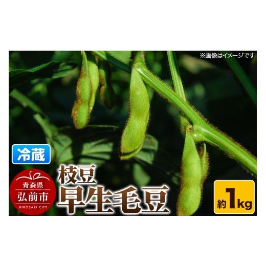 ふるさと納税 豆類 枝豆 青森県 弘前市 26年8月下旬〜クール便発送 枝豆 早生毛豆 約1kg まもる農園 青森県 弘前市 国産 早生 毛豆 おつまみ 野菜 クール便