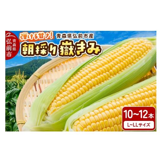 ふるさと納税 とうもろこし 青森県 弘前市 26年9月上旬クール便発送 とうもろこし 朝採り 嶽きみ(だけきみ)10本〜12本入り L〜LLサイズ 青森県 弘前市 とう…