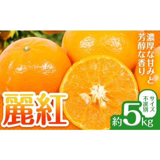 ふるさと納税 果物類 みかん 和歌山県 日高町 先行予約 麗紅 (れいこう) 約5kg みかん サイズ不選別 どの坂果樹園[2027年2月中旬-3月下旬頃出荷予定] 和歌…