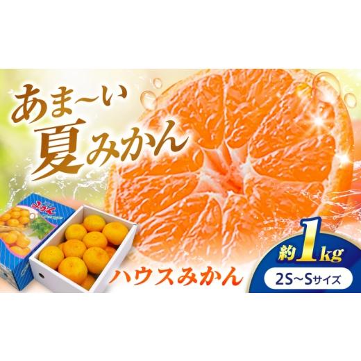 ふるさと納税 果物類 みかん 愛媛県 砥部町 みかん ハウスみかん 約1kg 秀品 7月下旬から9月下旬まで順次発送 / フルーツ 果物 柑橘 蜜柑 ミカン オレンジ …