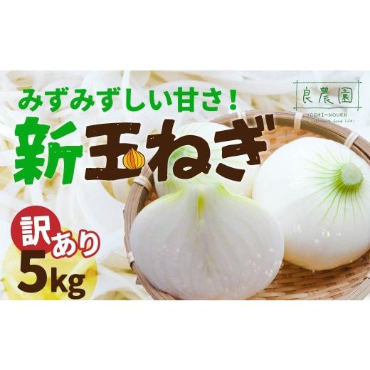 ふるさと納税 野菜類 玉ねぎ 群馬県 前橋市 訳あり 新玉ねぎ 5kg | 減農薬 野菜ソムリエ みずみずしい 旬野菜 生野菜 サラダ ギフト レシピ 贈り物 国産 朝採…
