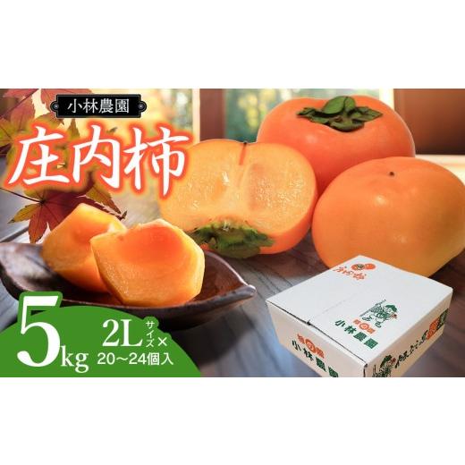 ふるさと納税 果物類 柿 山形県 鶴岡市 令和8年産先行予約 庄内柿 2Lサイズ 5kg(20〜24個) 山形県鶴岡市 小林農園 | 柿 カキ 平核無柿 ひらたねなし…