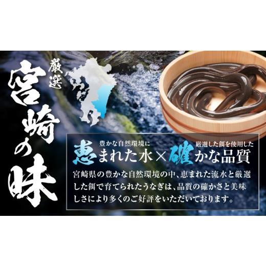 ふるさと納税 うなぎ 宮崎県 宮崎市 3回定期便 うなぎ白焼(大サイズ)2尾・肝焼きセット_M069-T010-3-2 61，000円　3回定期便_4