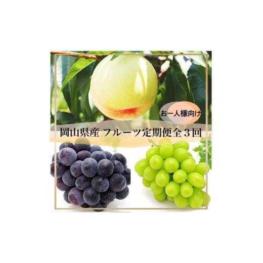 ふるさと納税 もも 岡山県 新庄村 発送月固定定期便 岡山県産 フルーツ定期便[お一人様向け]全3回 4084902