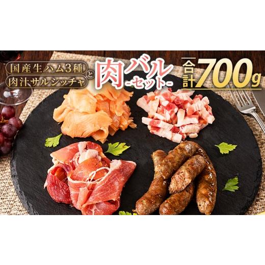 ふるさと納税 肉 ソーセージ 宮崎県 三股町 国産生ハム3種と肉汁サルシッチャ 肉バルセット 合計700g 国産 サルシッチャ ソーセージ 鶏肉 鶏生ハム 生ハム 豚…