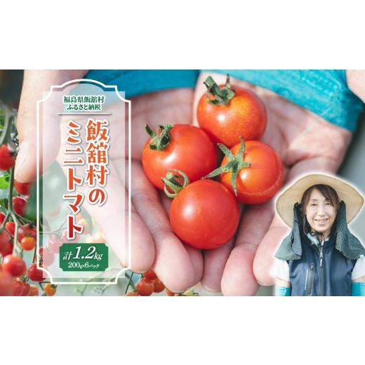 ふるさと納税 トマト ミニトマト 福島県 飯舘村 8月中旬以降発送 飯舘村のミニトマト ふるさと納税 人気 おすすめ ランキング ミニトマト 野菜 高原野菜 復興…