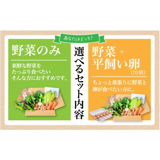 ふるさと納税 セット・詰合せ 岡山県 真庭市 まにわの野菜 真庭あぐり野菜セット 10〜11品 カット野菜入り 平飼い卵付き ／ 詰め合わせ 産地直送 岡山県 真庭…