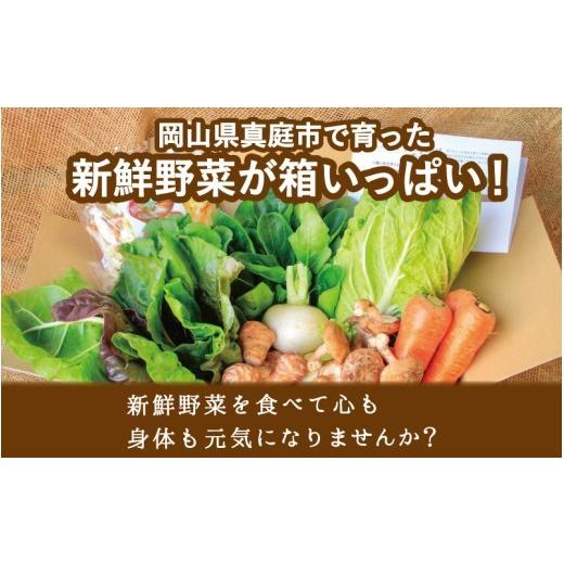 ふるさと納税 セット・詰合せ 岡山県 真庭市 まにわの野菜 真庭あぐり野菜セット 10〜11品 カット野菜入り 平飼い卵付き ／ 詰め合わせ 産地直送 岡山県 真庭…