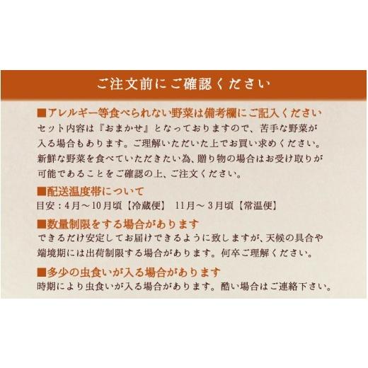 ふるさと納税 セット・詰合せ 岡山県 真庭市 まにわの野菜 真庭あぐり野菜セット 10〜11品 カット野菜入り 平飼い卵付き ／ 詰め合わせ 産地直送 岡山県 真庭…