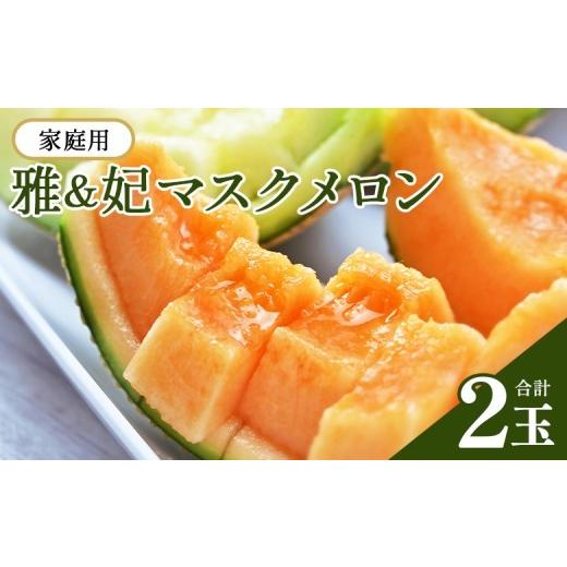 ふるさと納税 メロン メロン赤肉 高知県 香南市 家庭用メロン 雅&amp;妃マスクメロン 赤肉 青肉 各1玉 メロン ますくめろん めろん 赤肉 果物 くだもの フル…