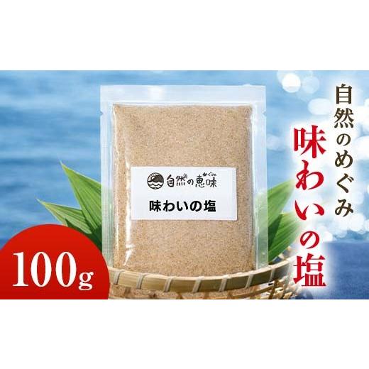 ふるさと納税 塩・だし 食塩 山口県 山陽小野田市 自然のめぐみ「味わいの塩」 100g ブレンド塩 食塩 天然塩 岩塩 安全 F6L-1409 100g