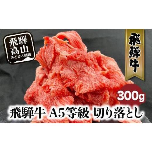 ふるさと納税 牛肉 すき焼き 岐阜県 高山市 飛騨牛 A5等級 切り落とし 小間切れ A5ランク A5 5等級 肉 黒毛和牛 ブランド牛 300g 飛騨高山 ながせ食品 FH001VC…