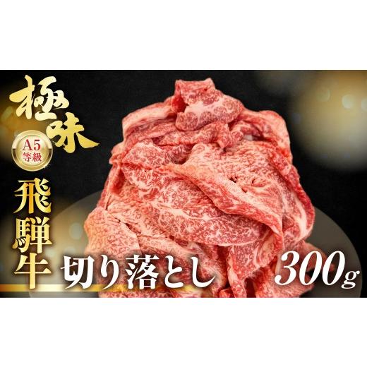 ふるさと納税 牛肉 すき焼き 岐阜県 高山市 飛騨牛 A5等級 切り落とし 小間切れ A5ランク A5 5等級 肉 黒毛和牛 ブランド牛 300g 飛騨高山 ながせ食品 FH001VC… |  | 01