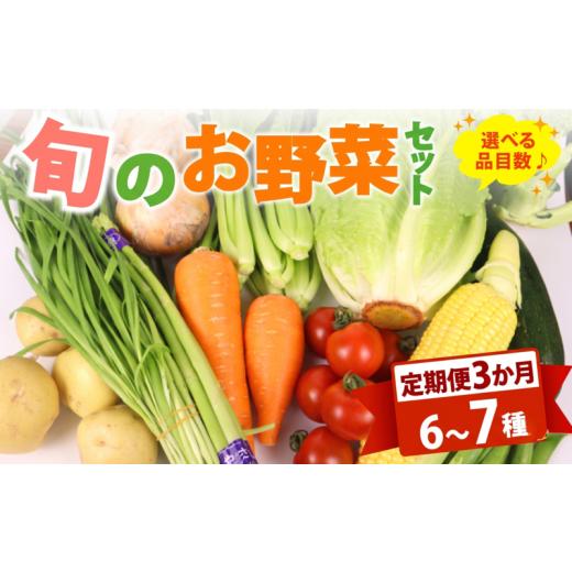 ふるさと納税 セット・詰合せ 静岡県 牧之原市 朝採れ 定期便 3か月 野菜 セット 6~7品目 以上 お野菜 季節 野菜 旬 新鮮 産地直送 詰め合わせ やさい おいし…