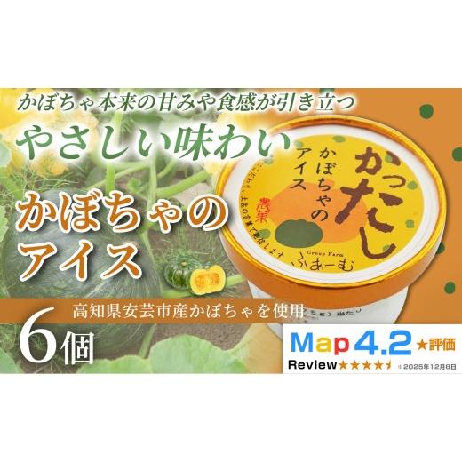 ふるさと納税 菓子 アイス 高知県 安芸市 かぼちゃのアイス 100ml × 6個 アイスクリーム 人気 おやつ お菓子 アイスクリーム ファミリー おすすめ ご当地アイ…
