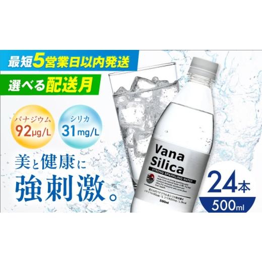 ふるさと納税 水・ミネラルウォーター 500mL〜999mL 大阪府 高槻市 7月発送 VanaSilica(バナシリカ) 富士山のバナジウム&シリカ 強炭酸水 500ml 24本 炭酸…