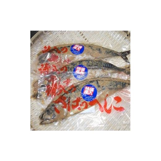 ふるさと納税 魚貝類 京都府 伊根町 さばのへしこ(3尾) 1027221