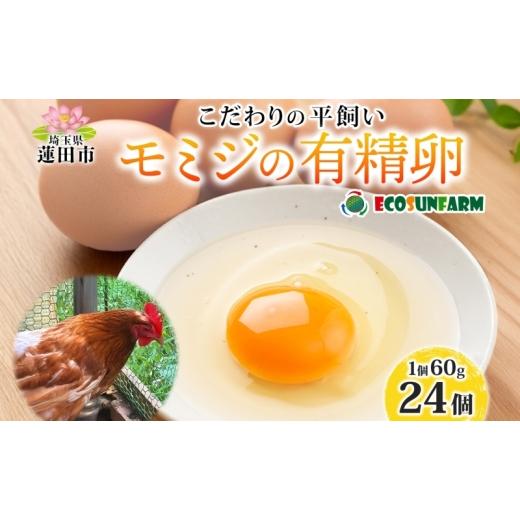 ふるさと納税 卵(鶏、烏骨鶏等) 埼玉県 蓮田市 平飼いモミジの有精卵 24個 平飼い 卵 有精卵 もみじ こだわり 国産 鶏卵 赤玉 発酵飼料 濃厚 たまご かけご…