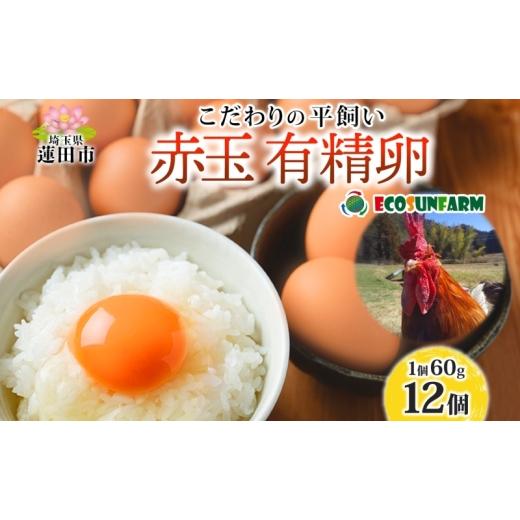 ふるさと納税 卵(鶏、烏骨鶏等) 埼玉県 蓮田市 エコサンファーム 平飼い 赤玉有精卵 12個 赤玉 有精卵 こだわり 国産 鶏卵 鶏 発酵飼料 たまご かけご飯 料…