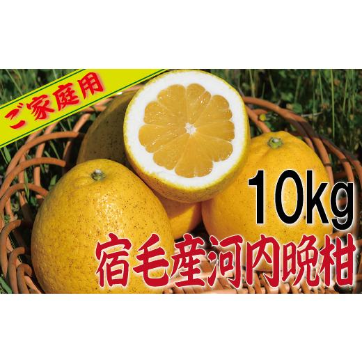 ふるさと納税 みかん・柑橘類 高知県 宿毛市 宿毛産 河内 晩柑 家庭用 10kg 約10kg (10,000円)