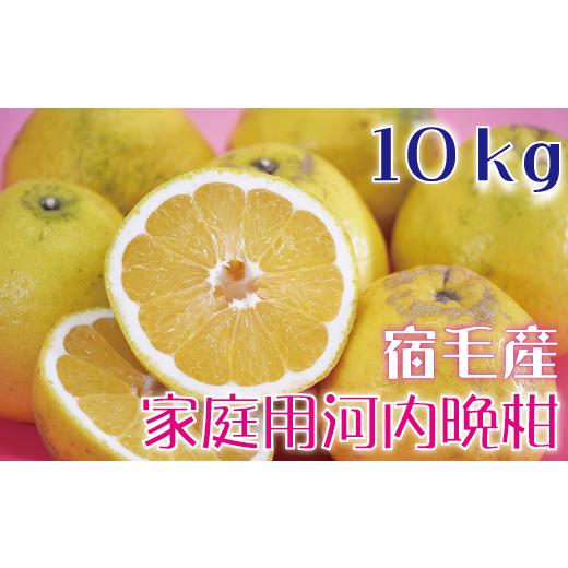 ふるさと納税 みかん・柑橘類 高知県 宿毛市 河内晩柑10kg 家庭用 宿毛青果 10kg(14,000円)