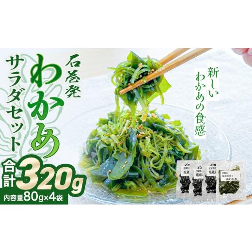 ふるさと納税 のり・海藻 わかめ 宮城県 石巻市 石巻発 わかめサラダセット 塩蔵わかめ 茎わかめ わかめ ワカメ 海藻 塩蔵 セット 宮城県産 国産 サラダ 味噌…