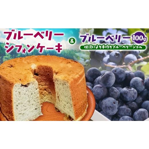 ふるさと納税 ケーキ・カステラ シフォンケーキ 長野県 松川村 四季 こめのこ 米粉 ブルーベリー シフォンケーキ + ブルーベリー 100g / 手作り ブルーベリ…
