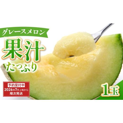 ふるさと納税 メロン メロン青肉 静岡県 三島市 グレースメロン 1玉 メロン 贈答用 甘い フルーツ ハウス 空中栽培 国産 めろん 果物 くだもの デザート おす…