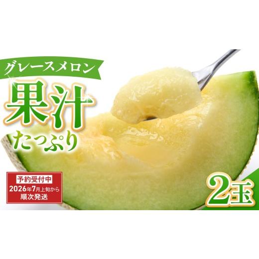 ふるさと納税 メロン メロン青肉 静岡県 三島市 グレースメロン 2玉 メロン 贈答用 甘い フルーツ ハウス 空中栽培 国産 めろん 果物 くだもの デザート おす…