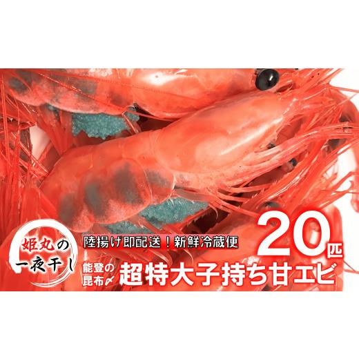 ふるさと納税 エビ あまエビ 石川県 羽咋市 姫丸 の 子持ち 甘エビ 超特大 ・ 20匹 丸ごと 昆布〆 2026年 1月 - 6月 発送