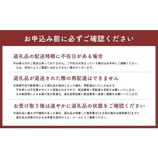 ふるさと納税 TV・オーディオ・カメラ 青森県 平川市 スティック型仮想アース　Crystal EpB-G hi-0021-042_8
