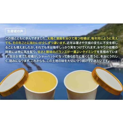 ふるさと納税 御菓子 内燃機関 愛媛県 八幡浜市 里海シャーベット C92-1 1694736 YWTAO001