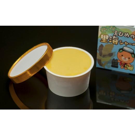ふるさと納税 御菓子 内燃機関 愛媛県 八幡浜市 里海シャーベット C92-1 1694736 YWTAO001