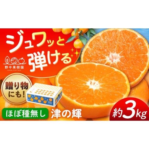 ふるさと納税 果物類 みかん 長崎県 - 先行予約 2月発送 ハウス津の輝 約3キロ箱 長崎県/野中果樹園 42A