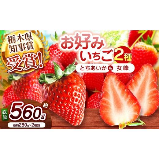 ふるさと納税 いちご 栃木県 矢板市 2027年先行予約 新定番とちあいか&伝統の女峰 食べ比べセット 560g 新定番とちあいか&伝統の女峰 | 7900円