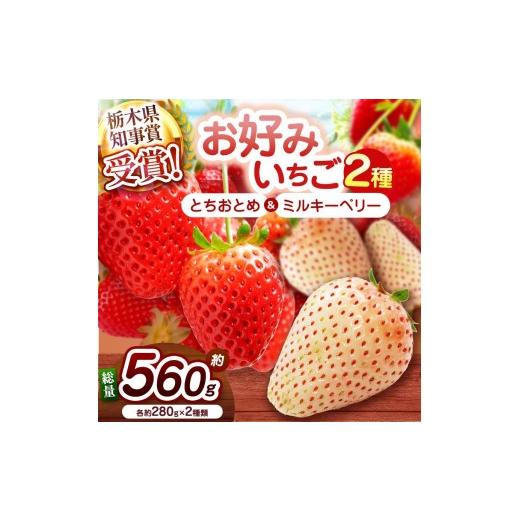 ふるさと納税 いちご 栃木県 矢板市 2027年先行予約 元祖とちおとめ×白いちごミルキーベリー 食べ比べセット 560g 元祖とちおとめ×白いちごミルキーベリー …