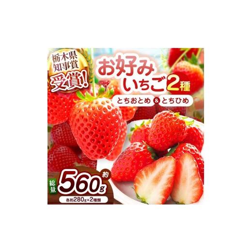 ふるさと納税 いちご 栃木県 矢板市 2027年先行予約 元祖とちおとめ×幻のとちひめ 食べ比べセット 560g 元祖とちおとめ×幻のとちひめ | 11000円