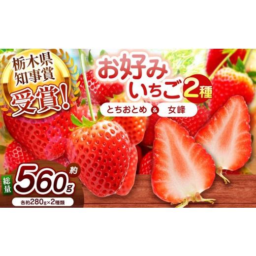 ふるさと納税 いちご 栃木県 矢板市 2027年先行予約 元祖とちおとめ×伝統の女峰 食べ比べセット 560g 元祖とちおとめ×伝統の女峰 | 7900円