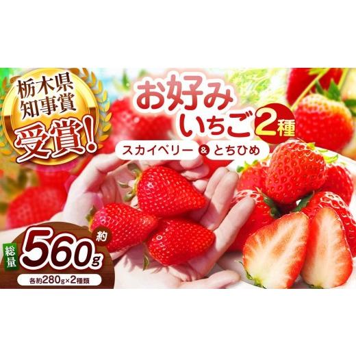 ふるさと納税 いちご 栃木県 矢板市 2027年先行予約 大粒スカイベリー×幻のとちひめ 食べ比べセット 560g 大粒スカイベリー×幻のとちひめ | 11000円
