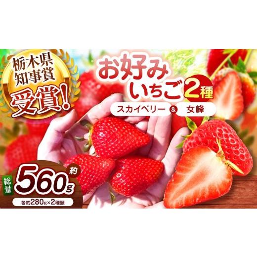 ふるさと納税 いちご 栃木県 矢板市 2027年先行予約 大粒スカイベリー×伝統の女峰 食べ比べセット 560g 大粒スカイベリー×伝統の女峰 | 7900円